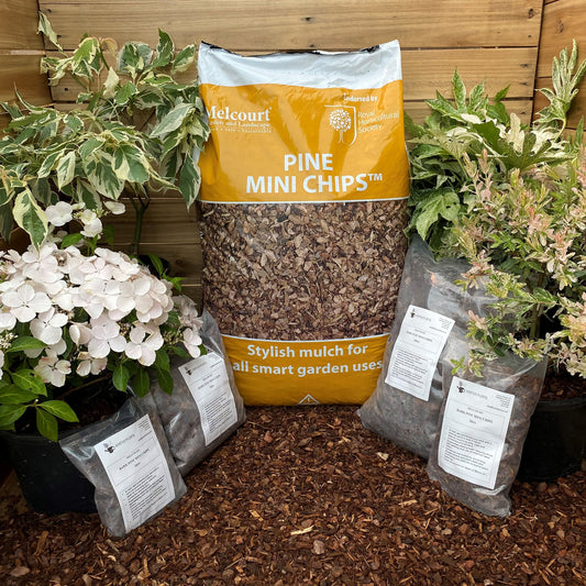 Melcourt Bark Pine Mini Chips -  Hortus Planta - 20ltrs